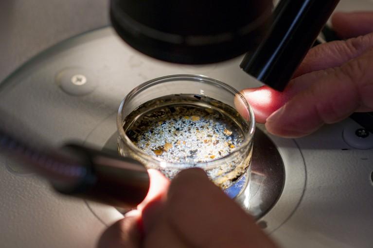 Microplastics-1